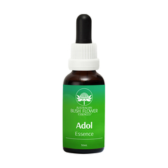 Adol Essence