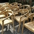 (MG) Nuevas. 12 sillas madera laurel macizo con laca semi mate / 53 x 54 x 75 - comprar online