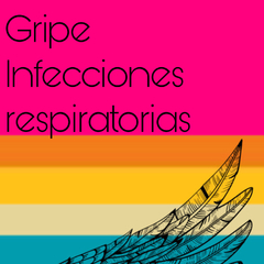 Infecciones Respiratorias - Gripes 50gr