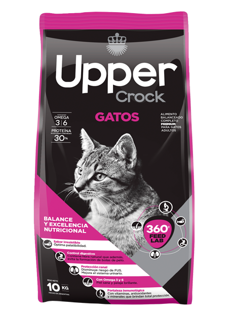 Upper Crock - Gatos