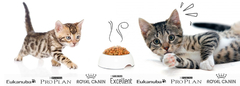 Banner de la categoría Alimento Gato