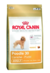 ROYAL CANIN PERRO CANICHE