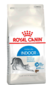 ROYAL CANIN GATOS INDOOR 27