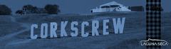 Banner da categoria Laguna Seca