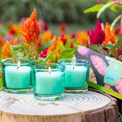 Trio de Velas Botânica Liberation - Home Fragrance Vidro Verde (embalagem com 3 unidades) - comprar online