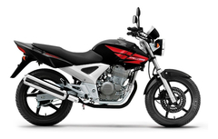 Amortecedor Traseiro Prolink Pro Link Honda Cbx 250 Twister - loja online