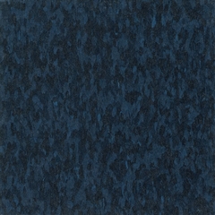 Go Blue- Armstrong Excelon Imperial Texture