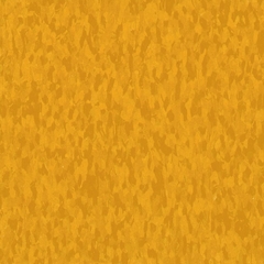 Sun Gold- Armstrong Excelon Imperial Texture