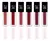 Labial Matte Lipgloss color surtido Mely / MY801002*576