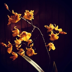 ORQUÍDEA DE SABONETE ONCIDIUM (SOMENTE SOB ENCOMENDA) - comprar online