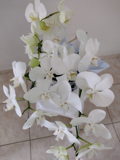 Vaso de Orquídea com caixa