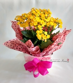 Vasinho de Kalanchoe Amarelo