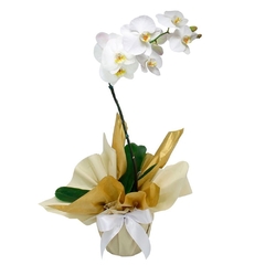 Vaso de Orquidea - comprar online