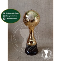 Trofeo copa pelota plástica en base de madera en internet