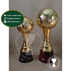 Trofeo copa pelota plástica en base de madera