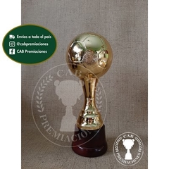 Trofeo copa pelota plástica en base de madera - comprar online