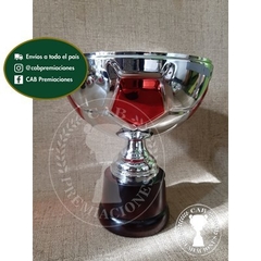 Trofeo Medio balón plata y rojo metálico en base de madera - Fútbol - Handball - comprar online