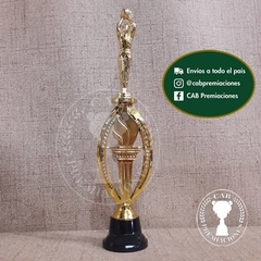 Imagen de Trofeo plástico basket - cestobol masculino - Ovalado BN -