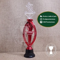 Trofeo plástico taekwondo 2D transparente artes marciales - Ovalado BN - - tienda online