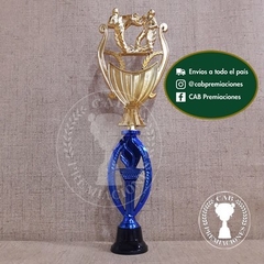 Trofeo plástico taekwondo alta artes marciales - Ovalado BN - - tienda online