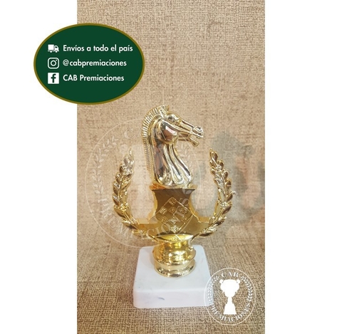 Trofeo souvenir ajedrez - BB