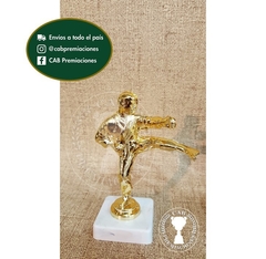 Trofeo souvenir taekwondo patada artes marciales - BB