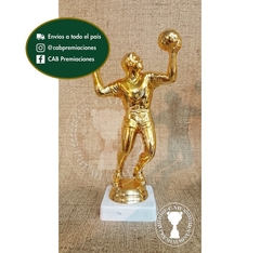 Trofeo souvenir voley alto - BB