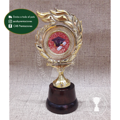 Trofeo Souvenir Egresados Graduados en base de madera - comprar online