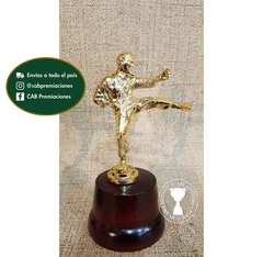 Trofeo Souvenir taekwondo patada artes marciales en base de madera