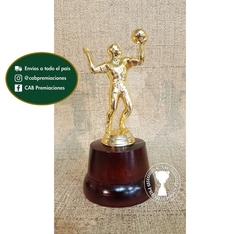 Trofeo Souvenir voley pequeño en base de madera