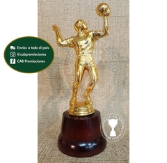 Trofeo Souvenir voley alto en base de madera