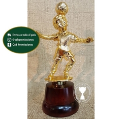 Trofeo Souvenir fútbol infantil o freestyle en base de madera