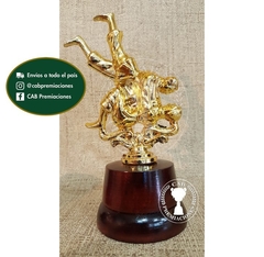 Trofeo Souvenir judo artes marciales en base de madera