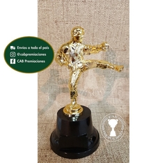 Trofeo Souvenir taekwondo patada artes marciales en BN