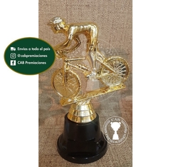 Trofeo Souvenir mountain bike mtb ciclismo en BN