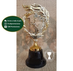 Trofeo Souvenir fútbol arquero valla menos vencida en BN