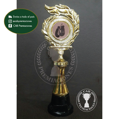 Trofeo Souvenir Boxeo Kick Boxing c/col baja en BN - comprar online