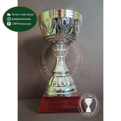 Trofeo copa plateada con base piramidal