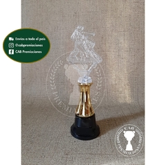 Trofeo Souvenir taekwondo 2D artes marciales transparente c/col baja en BN