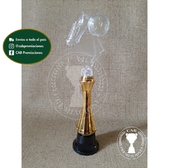 Trofeo Souvenir fútbol arco, botín, pelota transparente c/col alta en BN