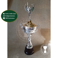 Copa plástica con asas y figura alada mediana standard plateada BM - Comu - - comprar online