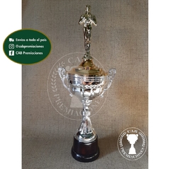 Copa plástica con asas y figura oscar actuación BM - Comu - - comprar online