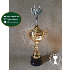 Copa plástica con asas y figura alada mediana standard plateada BM - Comu -