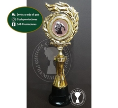 Trofeo Souvenir fútbol americano c/col baja en BN - comprar online