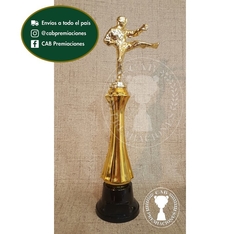 Trofeo Souvenir taekwondo patada artes marciales c/col alta en BN