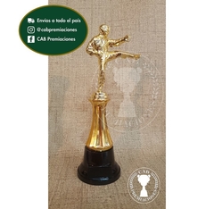 Trofeo Souvenir taekwondo patada artes marciales c/col baja en BN