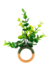 Porta Guardanapo Mini Ficus Verde