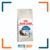 ROYAL CANIN GATO INDOOR LONG HAIR