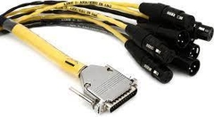 Avid - Cable DB25-XLR M+F AES/EBU 12'