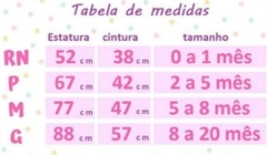 Vestido Floral bebe Recém nascido ao 8 meses Infantil festa - Hadassa Moda Infantil